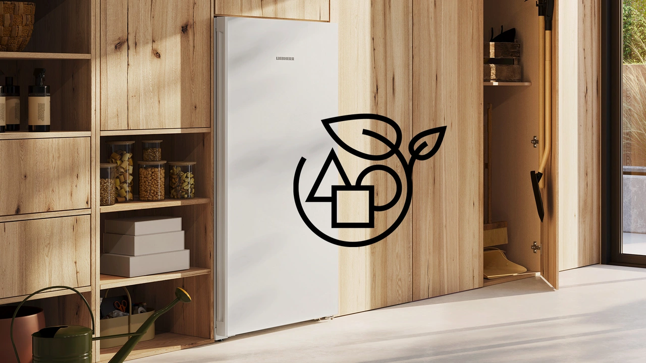 FNa 6635 Plus NoFrost Freezer with NoFrost and environmentally